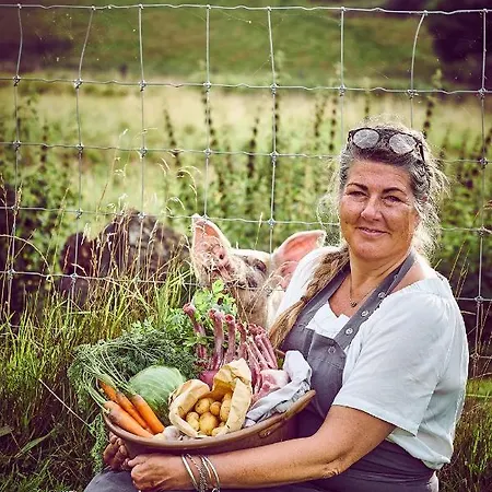 Campingplads Krusmølle Glamping