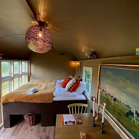 Krusmolle Glamping キャンプ場 *