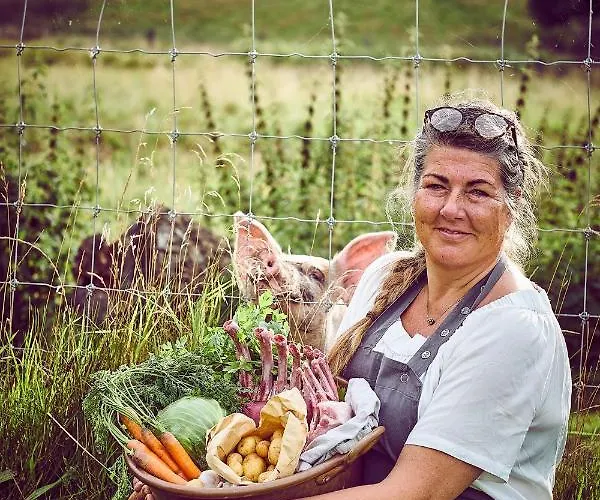 Campsite Krusmolle Glamping