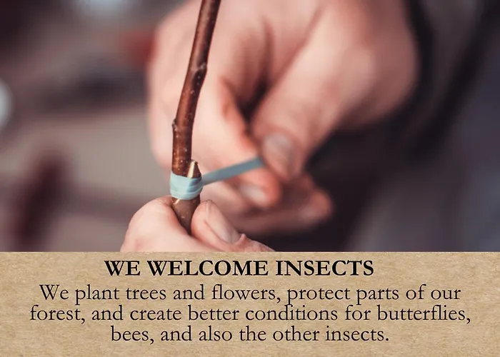 Campsite Krusmolle Glamping Aabenraa